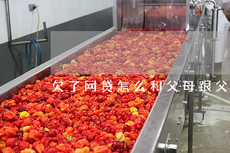 欠了网贷怎么和父母(跟父母怎么说欠了网贷)