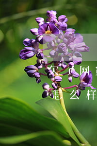 欠了网贷怎么还才比较好(网贷一直欠下去会怎么样)