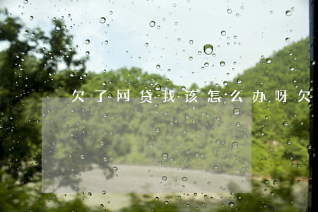 欠了网贷我该怎么办呀(欠网贷会怎样)