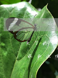 欠了网贷收到法院开庭短信通知-欠了网贷收到法院开庭短信通知怎么办