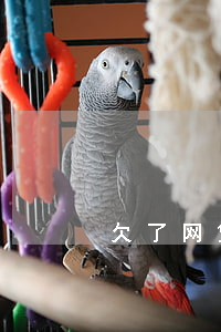 欠了网贷改名字(有网贷没还清能改名字)