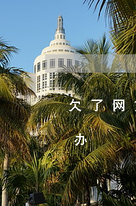 欠了网贷没有钱还怎么办(欠网贷没钱还怎么办?)