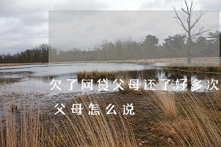 欠了网贷父母还了好多次了(网贷欠的多了和父母怎么说)
