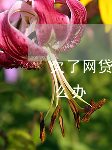 欠了网贷的钱无力偿还怎么办(网贷还不起怎么办)
