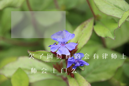 欠了网贷真的会有律师上门取证(欠网贷会律师会上门么)