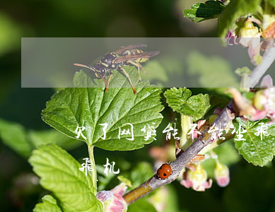 欠了网贷能不能坐飞机(网贷不还还能不能坐飞机)