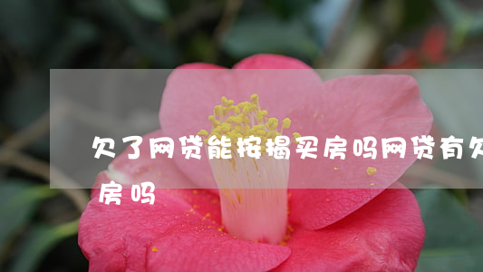 欠了网贷能按揭买房吗(网贷有欠款能贷款买房吗)