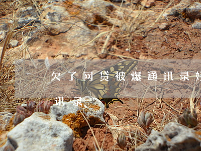 欠了网贷被爆通讯录好难过(网贷不还被爆通讯录)