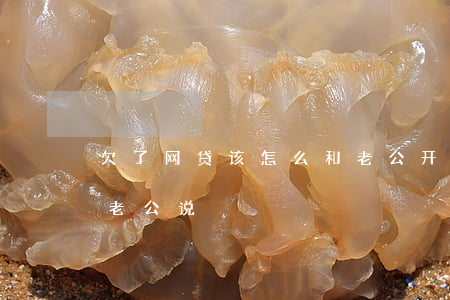 欠了网贷该怎么和老公开口(欠网贷要不要跟老公说)