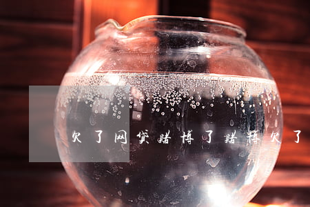 欠了网贷赌博了(赌博欠了一屁股网贷怎么办)