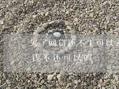 欠了网贷还不上可以去和他们谈吗-欠网贷钱不还可以吗