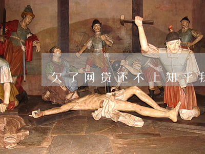 欠了网贷还不上知乎(我差网贷还不起了)