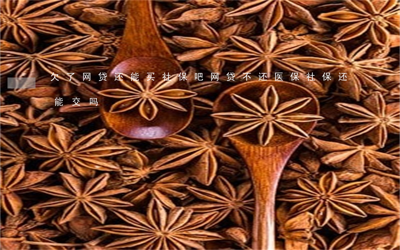 欠了网贷还能买社保吧(网贷不还医保社保还能交吗)