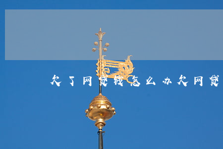 欠了网贷钱怎么办(欠网贷的钱怎么办)