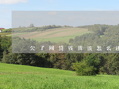 欠了网贷钱我该怎么还(欠网贷的钱要还吗)