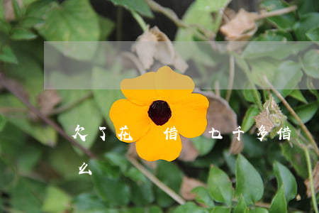 欠了花唄借唄七千多(借唄花唄7萬逾期會怎么樣)