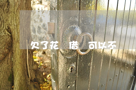 欠了花唄借唄可以不還嗎(花唄不能還借唄的錢嗎)