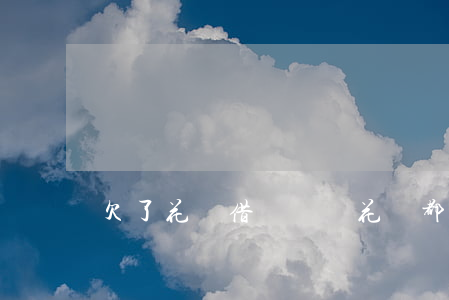 欠了花唄借唄幾萬(花唄都借了多少)