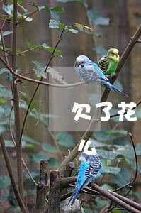 欠了花唄借唄有錢花逾期(借唄花唄逾期了怎么樣)