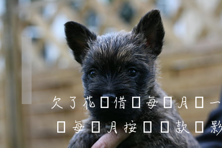 欠了花唄借唄每個月還一點會怎樣-花唄借唄每個月按時還款,會影響征信貸款買房嗎