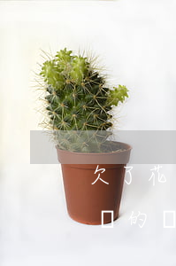 欠了花唄借唄的錢還能用支付寶嗎(支付寶花唄的錢可以還借唄嗎)
