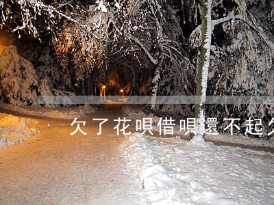 欠了花唄借唄還不起(欠借唄還不起怎么辦)