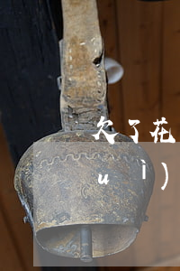 欠了花唄兩萬(wàn)逾期半年了會(huì)怎么樣-欠了花唄兩萬(wàn)逾期半年了會(huì)怎么樣嗎