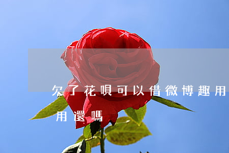 欠了花唄可以借微博趣用嗎(微博借款可以不用還嗎)