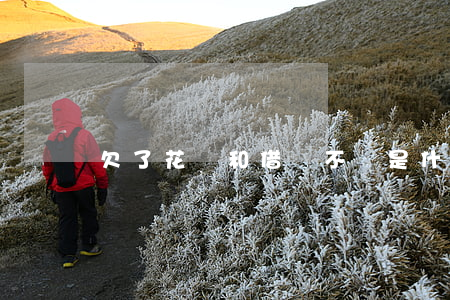欠了花唄和借唄不還是什么后果-