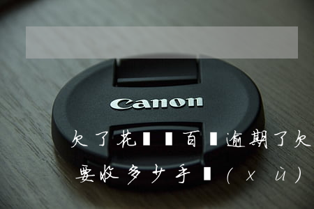 欠了花唄幾百塊逾期了(欠花唄七千塊,逾期了要收多少手續(xù)費(fèi))