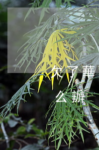 欠了華夏信用卡的錢(欠了華夏信用卡的錢怎么辦)