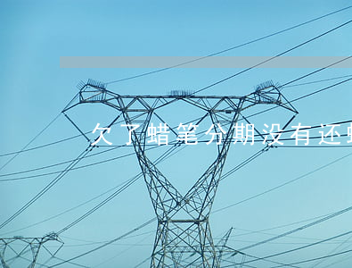 欠了蜡笔分期没有还(蜡笔分期不还能咋的)