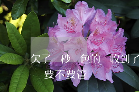 欠了讀秒錢包的錢收到了律師函(讀秒錢包起訴要不要管)
