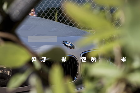 欠了貝米錢包的錢(貝米錢包回款多少了)