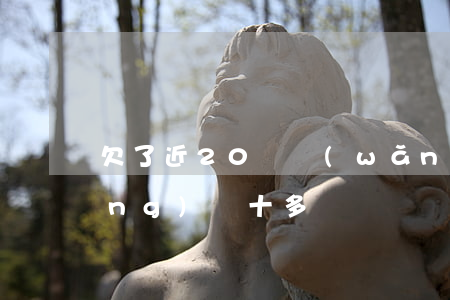 欠了近20萬網(wǎng)貸(欠網(wǎng)貸十多萬)