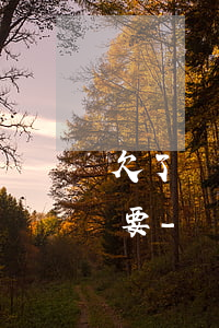 欠了這么多網(wǎng)貸電話到底要不要-