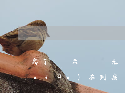 欠了達飛云貸兩萬元錢(欠達飛云貸的錢現(xiàn)在到底應該還給誰)