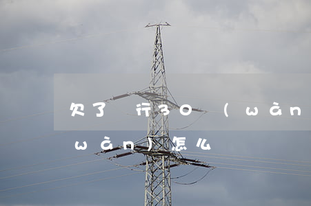 欠了銀行30萬(wàn)（欠銀行30萬(wàn)怎么還）