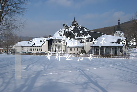 欠了銀行信用卡不還的后果(欠銀行信用卡不還有什么后果)