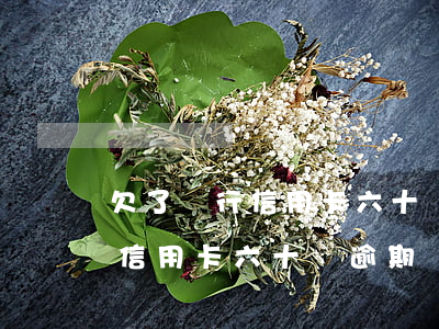 欠了銀行信用卡六十萬逾期兩年-欠了銀行信用卡六十萬逾期兩年會怎么樣