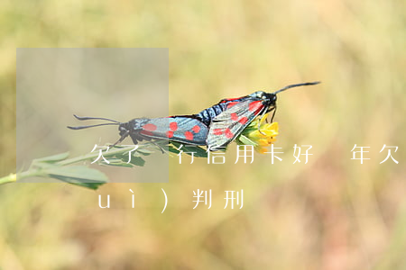 欠了銀行信用卡好幾年 欠信用卡太久會(huì)判刑嗎