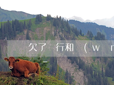 欠了銀行和網(wǎng)貸40多萬怎么辦-