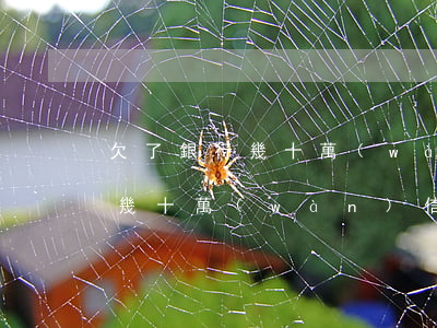 欠了銀行幾十萬(wàn)信用卡 欠了銀行幾十萬(wàn)信用卡會(huì)怎么樣