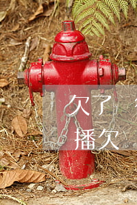 欠了銀行幾十萬(wàn)還不上怎么辦直播(欠銀行幾百萬(wàn)還不起會(huì)怎么辦)
