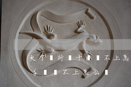 欠了銀行幾十萬還不上怎么辦直播(欠銀行幾千萬還不上怎么辦)