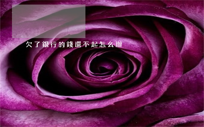 欠了銀行的錢還不起怎么辦