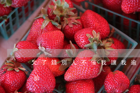 欠了錢別人不催我讓我逾期(別人欠錢拖著不給)