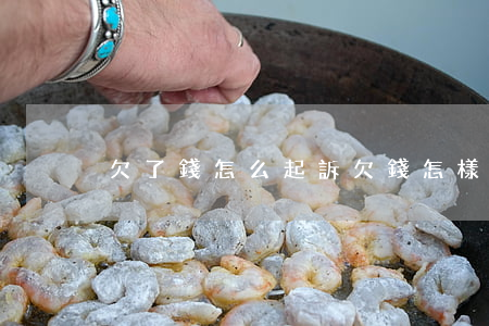 欠了錢怎么起訴（欠錢怎樣起訴他）