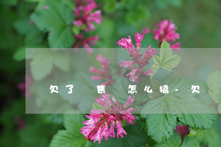 欠了錢焦慮怎么搞-欠錢焦慮怎么辦