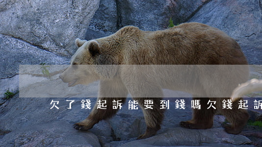 欠了錢起訴能要到錢嗎（欠錢起訴會追回來么）